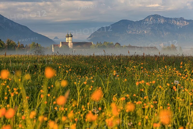 Monastery, church towers, fog, morning light, mountains, spring, Benediktbeuern Monastery, Alpine foothills, Bavaria, Germany, Europe