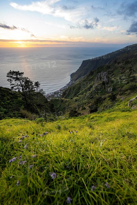 Evening mood, green coastal landscape on a steep cliff, sea and coast, viewpoint Miradouro da Raposeira, Paul do Mar, Madeira, Portugal, Europe