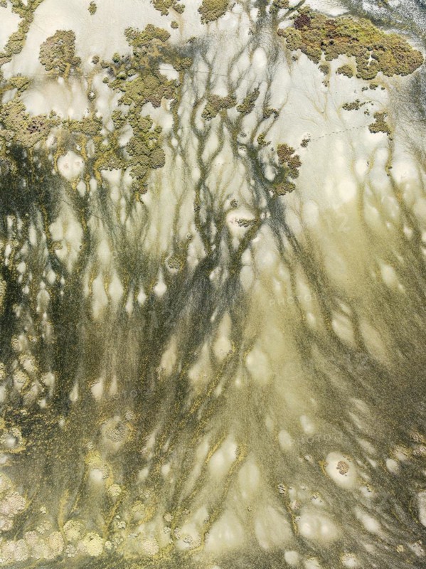 Marshland at low tide. Nature Reserve La Breña y Marismas del Barbate. Aerial view. Drone shot. Cádiz province, Andalusia, Spain, Europe