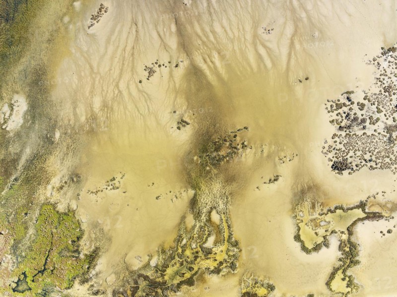 Marshland at low tide. Nature Reserve La Breña y Marismas del Barbate. Aerial view. Drone shot. Cádiz province, Andalusia, Spain, Europe
