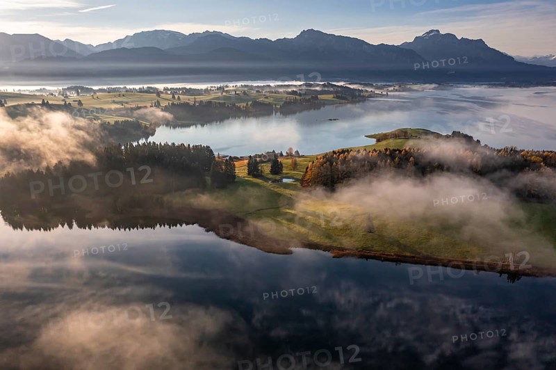 Aerial view of a lake in front of mountains in the morning light, fog, autumn, Forggensee, view of Säuling and Ammergebirge, Alpine foothills, Upper Bavaria, Bavaria, Germany, Europe