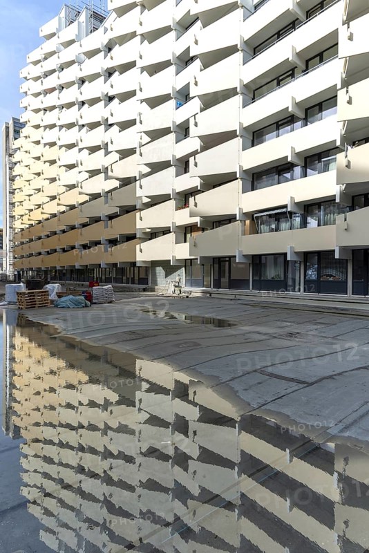 Renovation of numerous rental flats after several apartment buildings fell into disrepair due to extensive mould infestation, satellite town of Chorweiler in Cologne, North Rhine-Westphalia, Germany, Europe