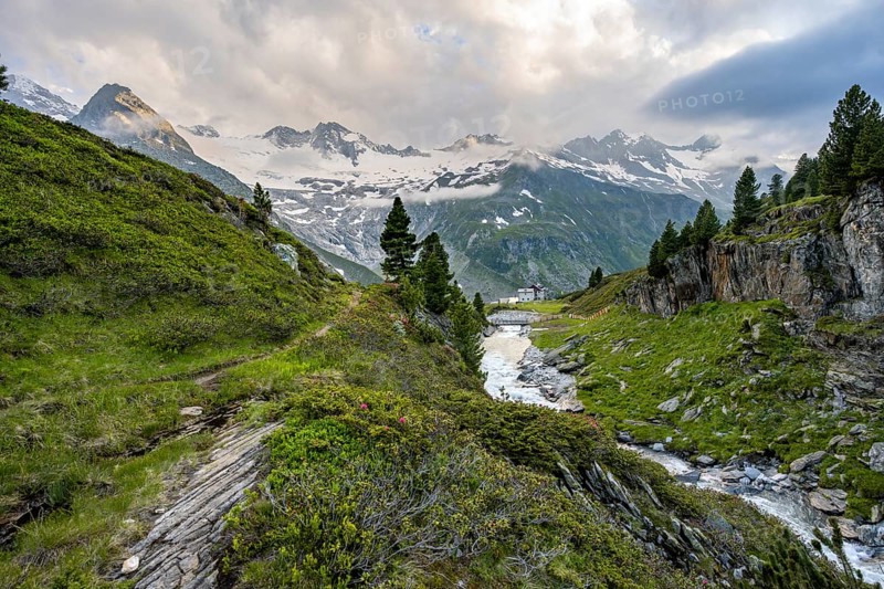 Mountain landscape with blooming alpine roses, mountain stream Zemmbach and mountain hut Berliner Hütte, behind mountain peak Steinmandl and Großer Möseler with glacier Waxeggkees, Berliner Höhenweg, Zillertal Alps, Tyrol, Austria, Europe
