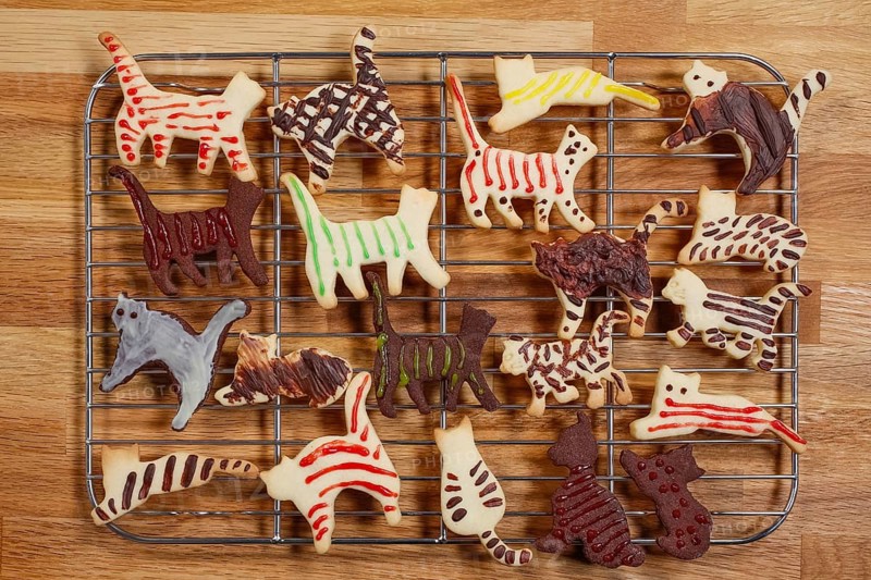 Swabian cuisine, Swabian Christmas biscuits, cookie cutters, shortbread biscuits, cat figures, painted with chocolate, typical Swabian, baking, Christmas bakery, sweet biscuits, Gutsle, Bredle, baked goods, from the oven, cooling rack, cake rack, traditional cuisine, food photography, studio, Germany, Europe