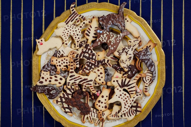Swabian cuisine, Swabian Christmas biscuits, cookie cutters, shortbread biscuits, cat figures, painted with chocolate, typical Swabian, baking, Christmas bakery, sweet biscuits, Gutsle, Bredle, baked goods, from the oven, traditional cuisine, food photography, studio, Germany, Europe