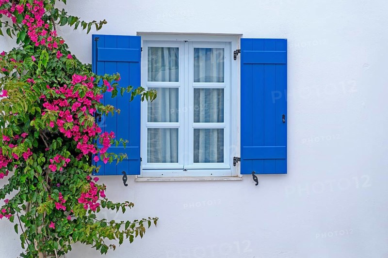 Window with blue shutters and bougainvillea or triplet flower (bougainvillea), Paros, Klyklades, Greece, Europe