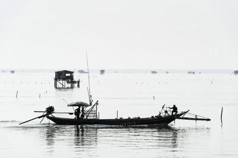 Traditional wooden huts of fishermen in the Gulf of Thailand in the morning haze, fishing boat, fisherman, fishing hut, wooden hut, landscape, southern Thailand, seascape, silhouette, nature, stilt hut, stilt buildings, tradition, traditional, fishing village, water, ocean, calm, work, romantic, monochrome house, accommodation, natural landscape, travel, holiday, coast, hazy, mist, foggy, foggy, tropical, tropics, tourism, cloudy, weather, mood, grey, puristic, visibility, far, far away, Thailand, Asia