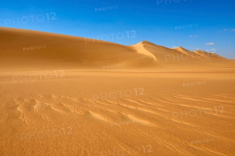 Endless sand dunes under a clear blue sky with few clouds, Matruh, Great Sand Sea, Libyan Desert, Sahara, Egypt, North Africa, Africa