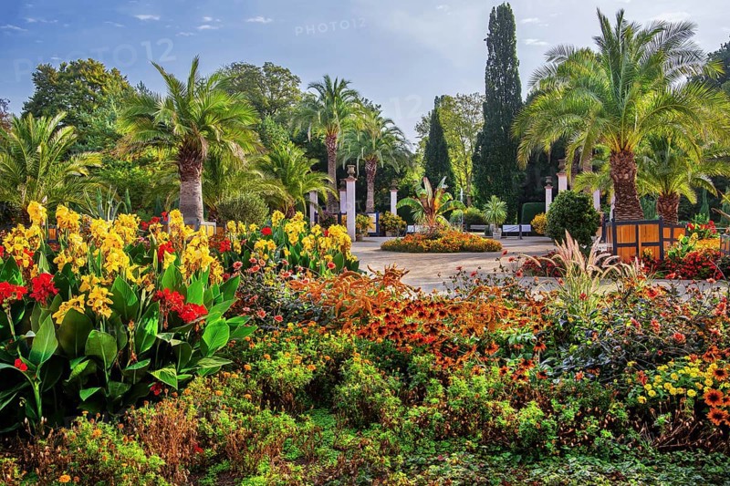 Palm garden in the historic spa gardens, the largest outdoor palm garden north of the Alps, Bad Pyrmont, Emmertal, Weserbergland, Oranierroute, Lower Saxony, Germany, Europe