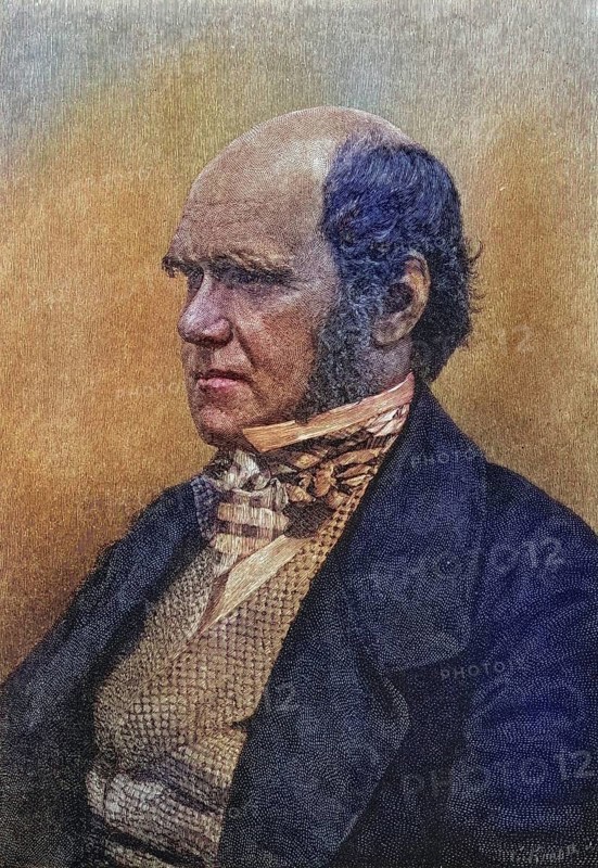Charles Darwin, 1809?1882, 45 years old. British naturalist. After a photograph (1854?) by Maull and Fox, Historic, digitally restored reproduction from a 19th century original, Record date not stated