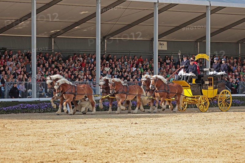 Warendorf State Stud, stallion parade, train of six, stagecoach