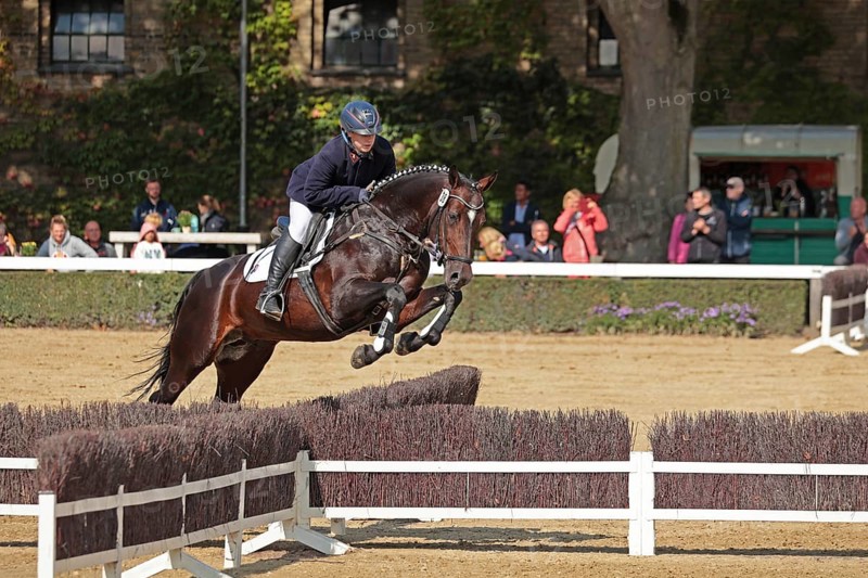 Warendorf State Stud, stallion parade, jumping quadrille