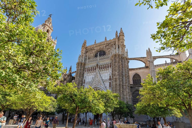 Impressive Gothic cathedral façade surrounded by trees under a blue sky, Seville