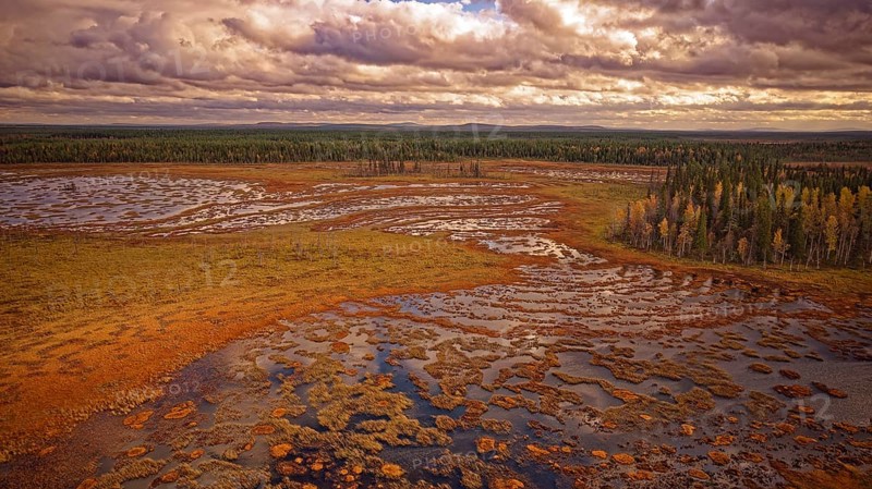 Moor, autumn, intense colouring, impressive cloud formation, drone shot, with horizon, Lapland, Northern Finland, Finland, Europe