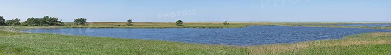 Panorama, Photomerge, Libbertsee, reed grass, trees, landscape, circular hiking trail, nature reserve, Darßer Ort, Born a. Darß, Mecklenburg-Vorpommern, Germany, Europe