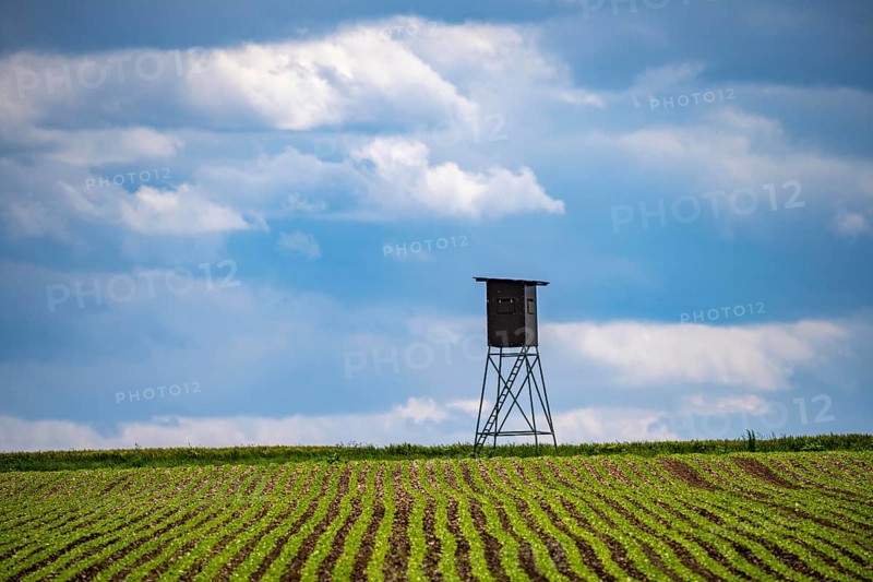 Field, field with high seat for hunters, near Lichtenau, North Rhine-Westphalia, Germany, Europe