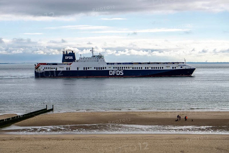 The DFDS cargo ferry Begonia Seaways, loaded with lorry trailers and new cars, leaves the Westerschelde into the North Sea near Zoutelande Netherlands, on its way from Ghent in Belgium to Gothenburg, Sweden, walkers on the beach, Europe