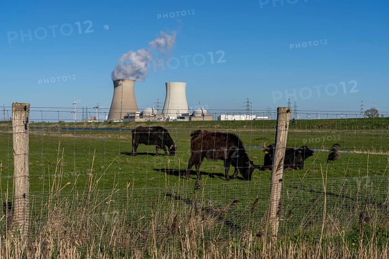 The Doel nuclear power plant on the Scheldt, one of two nuclear power plants in Belgium, consists of three operating units, each with a pressurised water reactor, as well as a decommissioned unit, Antwerp, Belgium, Europe