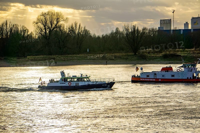 The Rhine near Düsseldorf, cargo ships, patrol boat of the water police, North Rhine-Westphalia, Germany, Europe