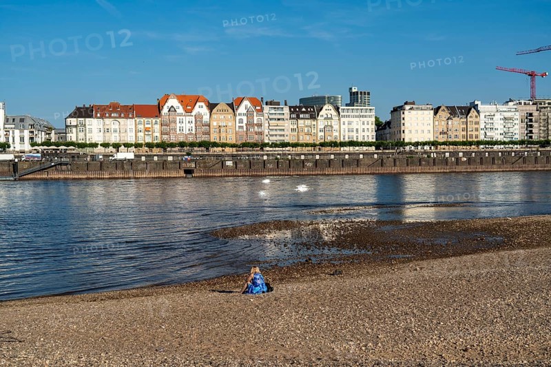 Rhine near Düsseldorf, extremely low water, Rhine level at 81 cm, falling, after a long drought the left bank of the Rhine is dry, near Düsseldorf Oberkassel, North Rhine-Westphalia, Germany, Europe