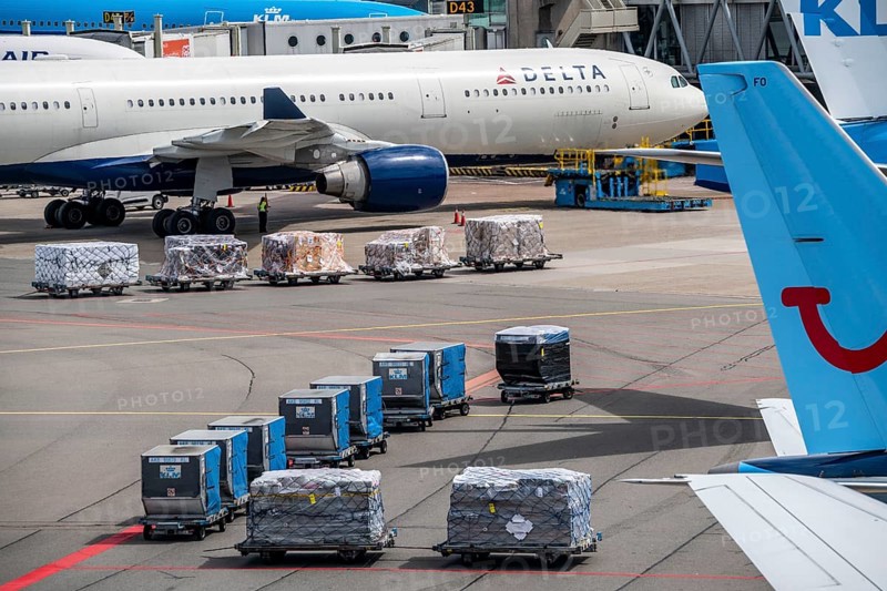 Amsterdam Airport Schiphol, aircraft at terminal, Gates D, check-in, apron, loading of air freight, baggage, Amsterdam, Netherlands