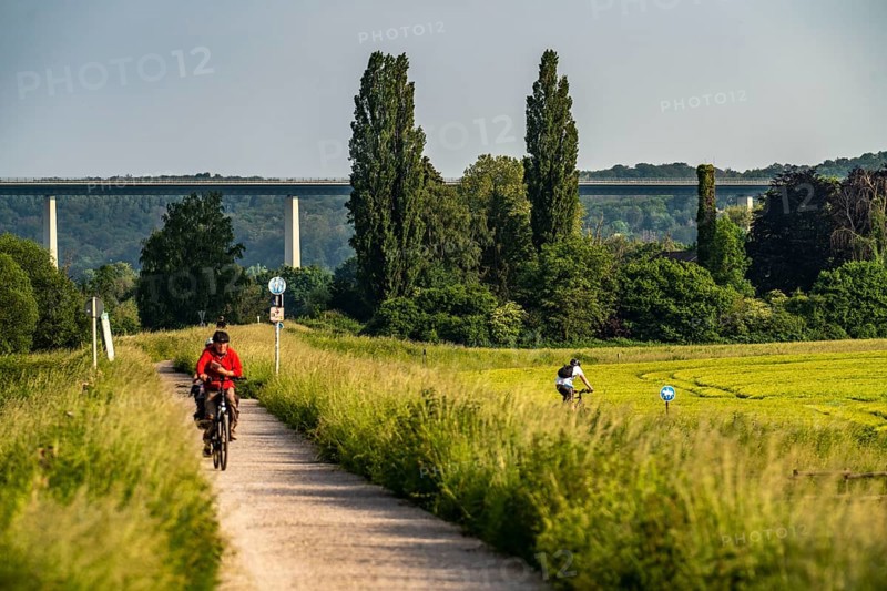Mendener Ruhraue, cycle path, footpath, view to the east, towards Mintarder Ruhrtalbrücke, Mülheim an der Ruhr, North Rhine-Westphalia, Germany, Europe