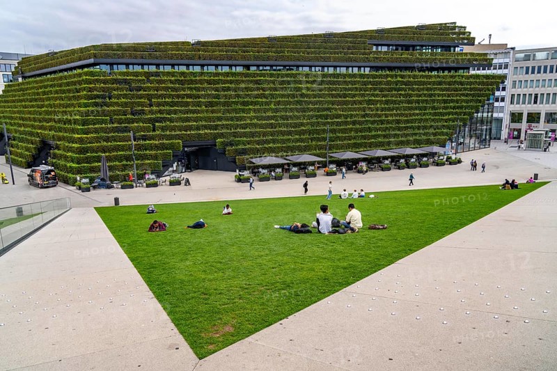 Green façade, consisting of over 30, 000 hornbeams forming a hedge a good 8 kilometres long on the roof and façade of the Kö-Bogen-2 building, largest green façade in Europe, Düsseldorf North Rhine-Westphalia, Germany, Europe