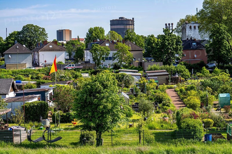 Allotment garden site allotment garden association Haus-Knipp e.V, in Duisburg-Beeckerwerth, on the Rhine dike, behind the ThyssenKrupp Steel steelworks, North Rhine-Westphalia, Germany, Europe