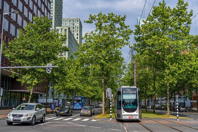 Urban greening, inner-city street Laan op Zuid, in Rotterdam's Feijenoord district, 4 lanes, 2 tram tracks, cycle paths on both sides, pavements and parking lanes, planted with hundreds of plane trees over around 1.5 km, providing shade, cooling in summer, tram tracks with grass surface, less surface sealing, urban climate, microclimate in the city, Rotterdam, Netherlands