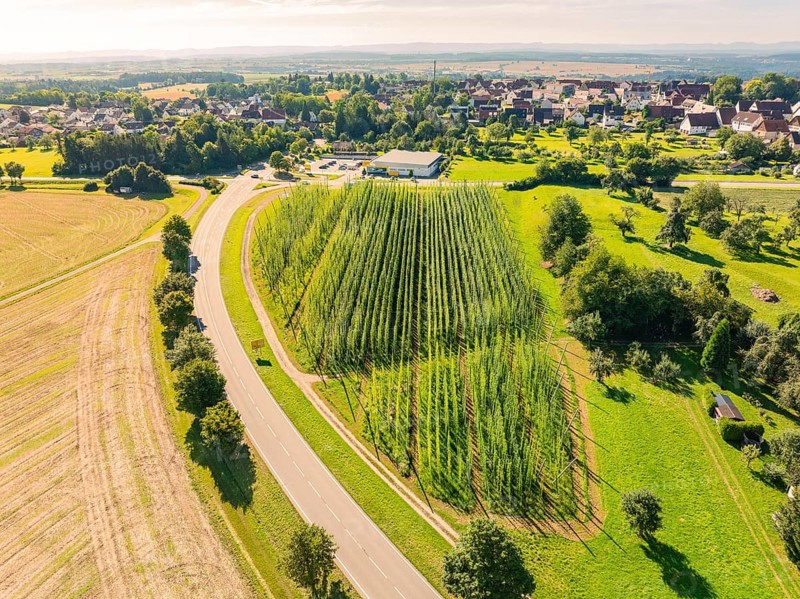 Aerial view of an urban environment with green fields and streets lined with trees, Hopfengarten, Hochdorf, Black Forest, Germany, Europe