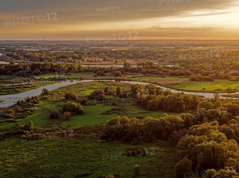 Evening light over the Warta Estuary National Park, Park Narodowy Ujscie Warty, where the Warta flows into the Oder. The park consists mainly of meadows and pastureland, intersected by numerous old river courses and canals. Aerial view. Kostrzyn nad Odra, Lubuskie, Poland, Europe