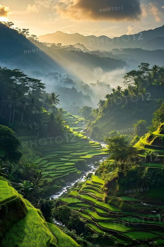 Early morning light bathes Philippines rice terraces cascading down mountain slopes, AI generated