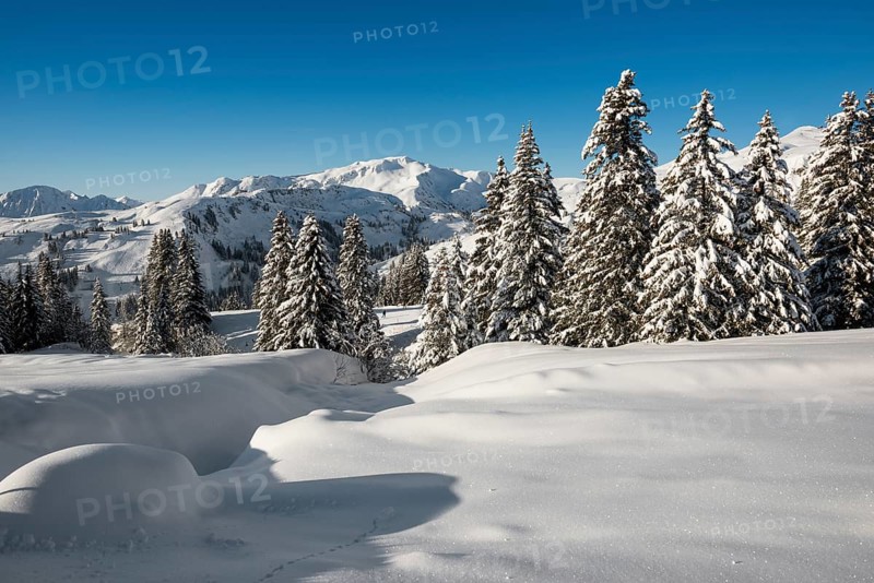 Snow-covered mountain landscape, Damüls, Bregenzerwald, Vorarlberg, Austria, Europe