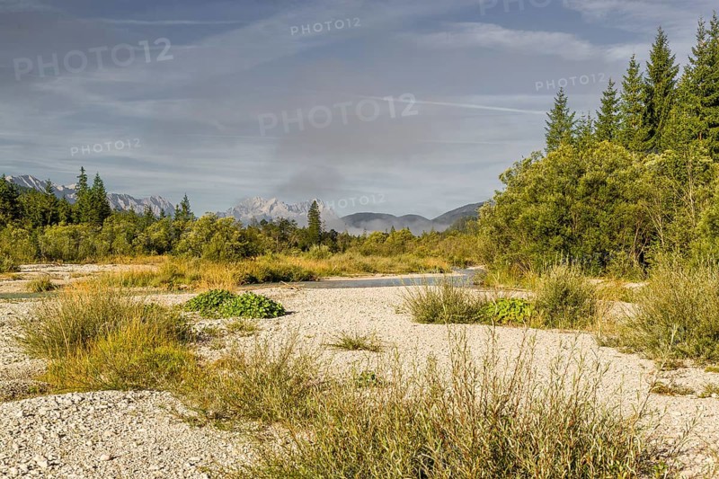 Isar valley nature conservancy area on an early sunny morning. The wild Isar river flows through its gravel bed past driftwood and entrained trees and bushes