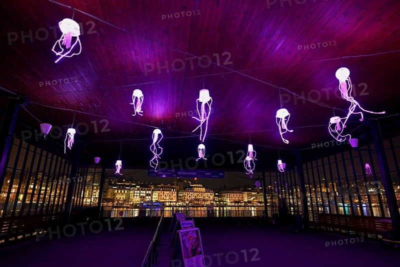 Coloured illuminated octopuses on the ceiling of the boat station, Lilu, Light Festival 2025, Lucerne, Canton Lucerne, Switzerland, Europe