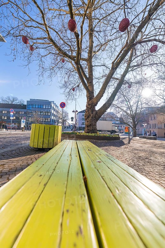 Oblique perspective of a green bench under a tree in sunshine, Sindelfingen, Böblingen district, Germany, Europe