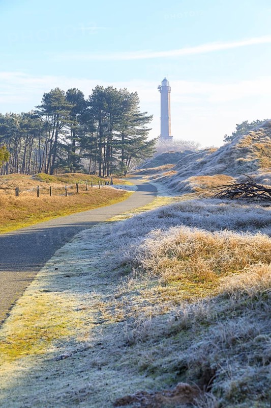 Path through the dune landscape with hoarfrost and fog, view to the lighthouse of Norderney, Lower Saxony, Germany, Europe