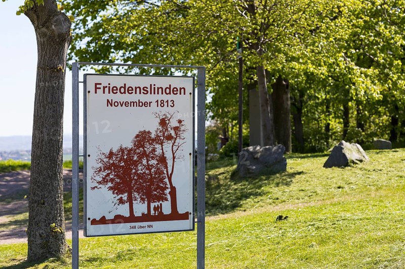 Friedenslinden hill November 1813 with signpost, between Schmorsdorf and Maxen, Müglitztal, Saxony, Germany, Europe