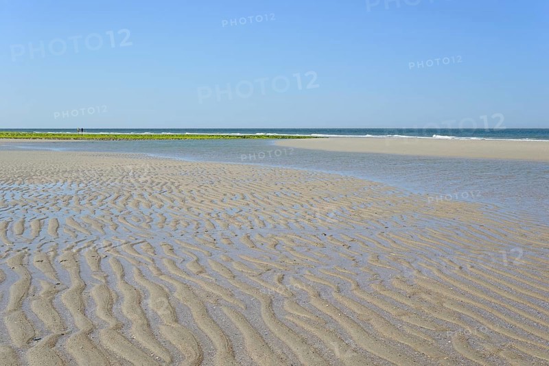 Beach at low tide with wave-like structure, current ripples in wet sand, blue sky, North Sea, Norderney, East Frisian Islands, Lower Saxony, Germany, Europe