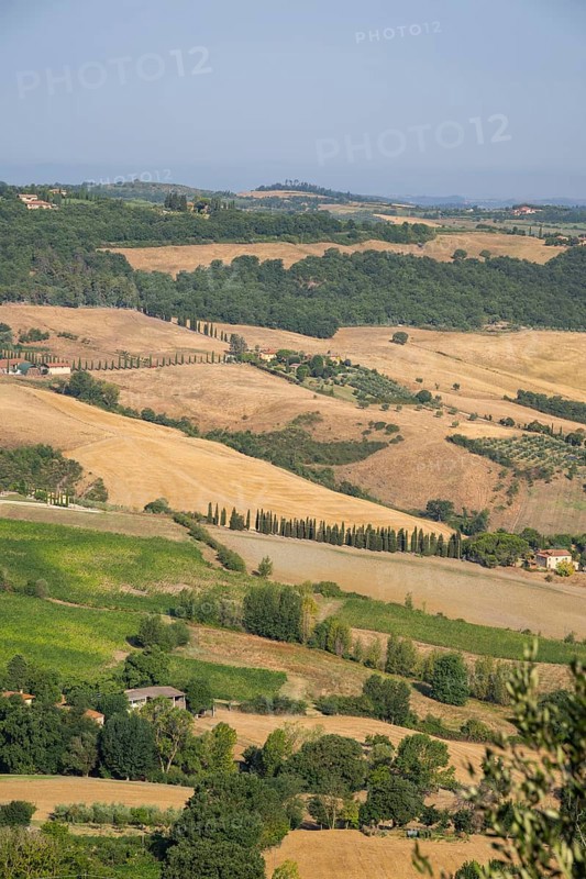View from Montepulciano into a typical Tuscan landscape in Val d'Orcia with hills, trees, fields, cypresses and farm houses in summer, Montepulciano, Tuscany, Italy, Europe