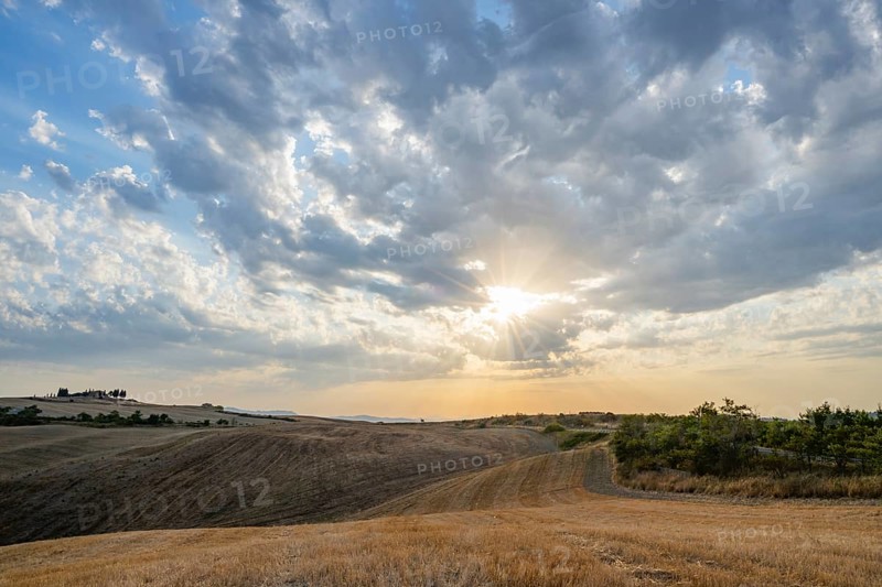 Typical Tuscan landscape in Val d'Orcia with hills, trees, fields, farmhouses and cypresses in summer, Tuscany, Italy, Europe