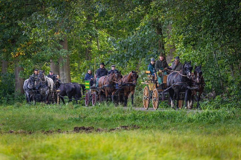 Presentation and route ride, all carriages in stylish tension, popular sporting event over approx. 30 km. An event organised by Reit- und Fahrverein Moritzburg e.V., 29th Moritzburger Teichrundfahrt, Moritzburg, Saxony, Germany, Europe