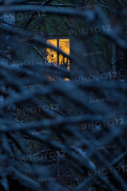 Illuminated window behind snow-covered branches, residential building, Germany, Europe