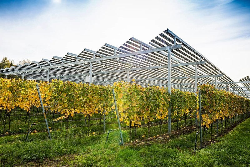 Solar plant in the vineyard, solar cells, solar modules, solar power plant, photovoltaic plant, Blankenhornsberg, near Ihringen, Kaiserstuhl, Baden-Württemberg, Germany, Europe