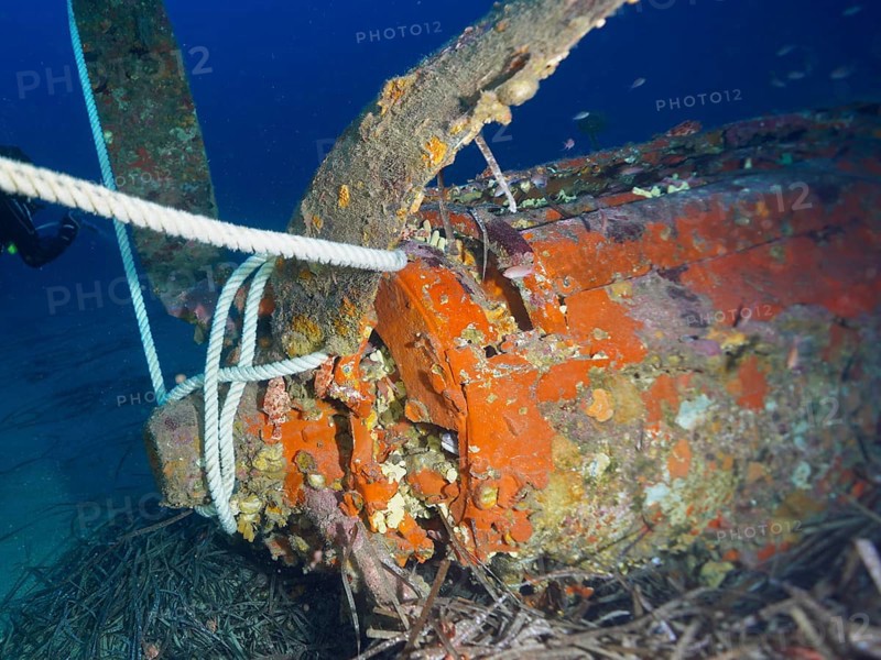 Close-up of an aircraft wreck from the Second World War under water, dive site aircraft wreck Mustang P51, Giens peninsula, Provence Alpes Côte d'Azur, France, Europe