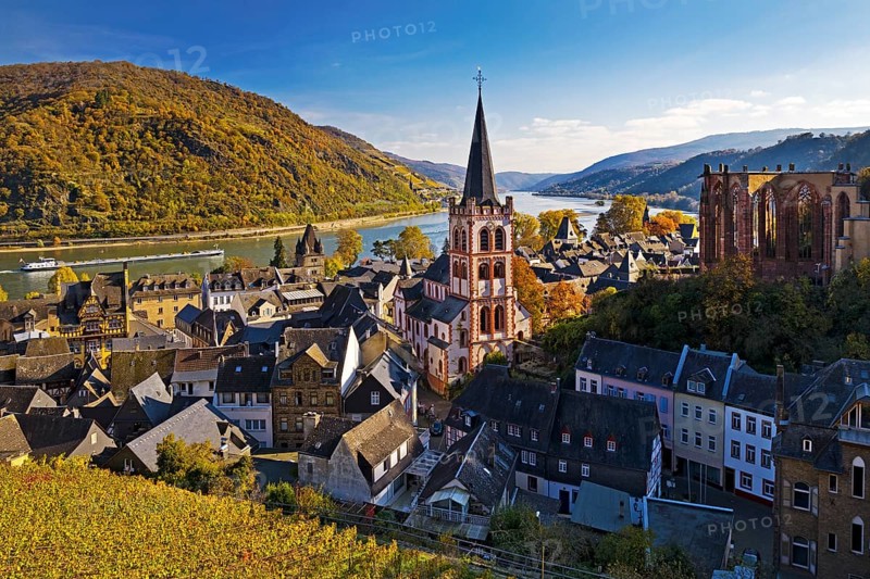 Autumn view of Bacharach on the Rhine with St. Peter's Church, UNESCO World Heritage Upper Middle Rhine Valley, Rhineland-Palatinate, Germany, Europe