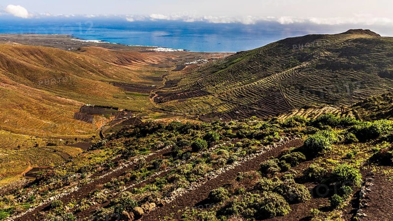 2016, Haria, Lanzarote, Haria, ESP, Spain, Canary Islands, Canary Islands, Atlantic Ocean, Lanzarote, biosphere reserve, volcano, volcanism, volcanic island, island, recording date, Europe