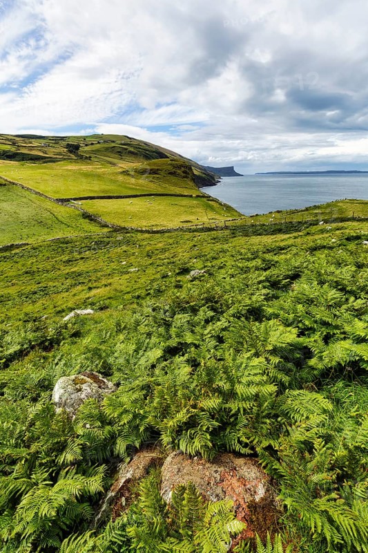 Green coastline between Ballycastle and Ballintoy overlooking the sea, Ferns, Causeway Coastal Route, Antrim, Northern Ireland, Great Britain