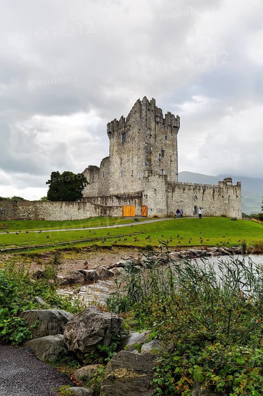 Ross Castle ruins on the lakeshore, Lough Leane, Killarney National Park, Ring of Kerry scenic road, Iveragh Peninsula, County Kerry, Ireland, Europe