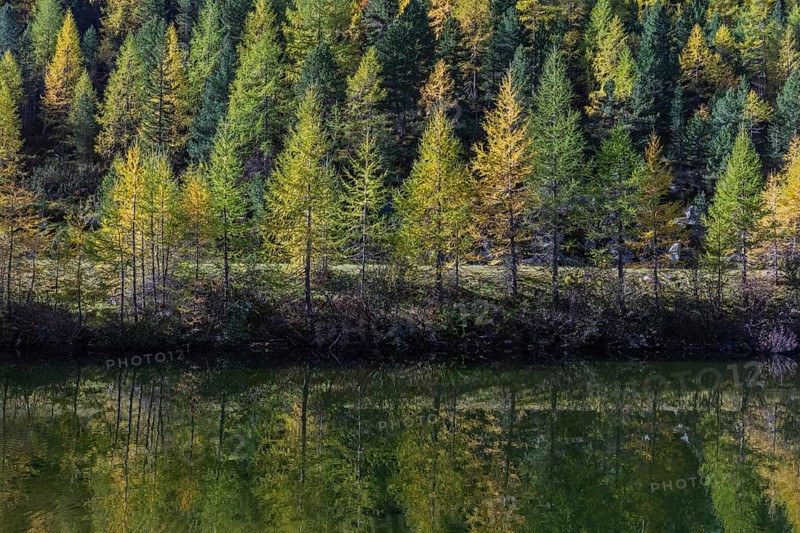 Little pond of the Malta river with a mountain forest in fall foliage on a bright sunny morning. Seen from the Malta Hochalm road. Carithia, Austria, Europe